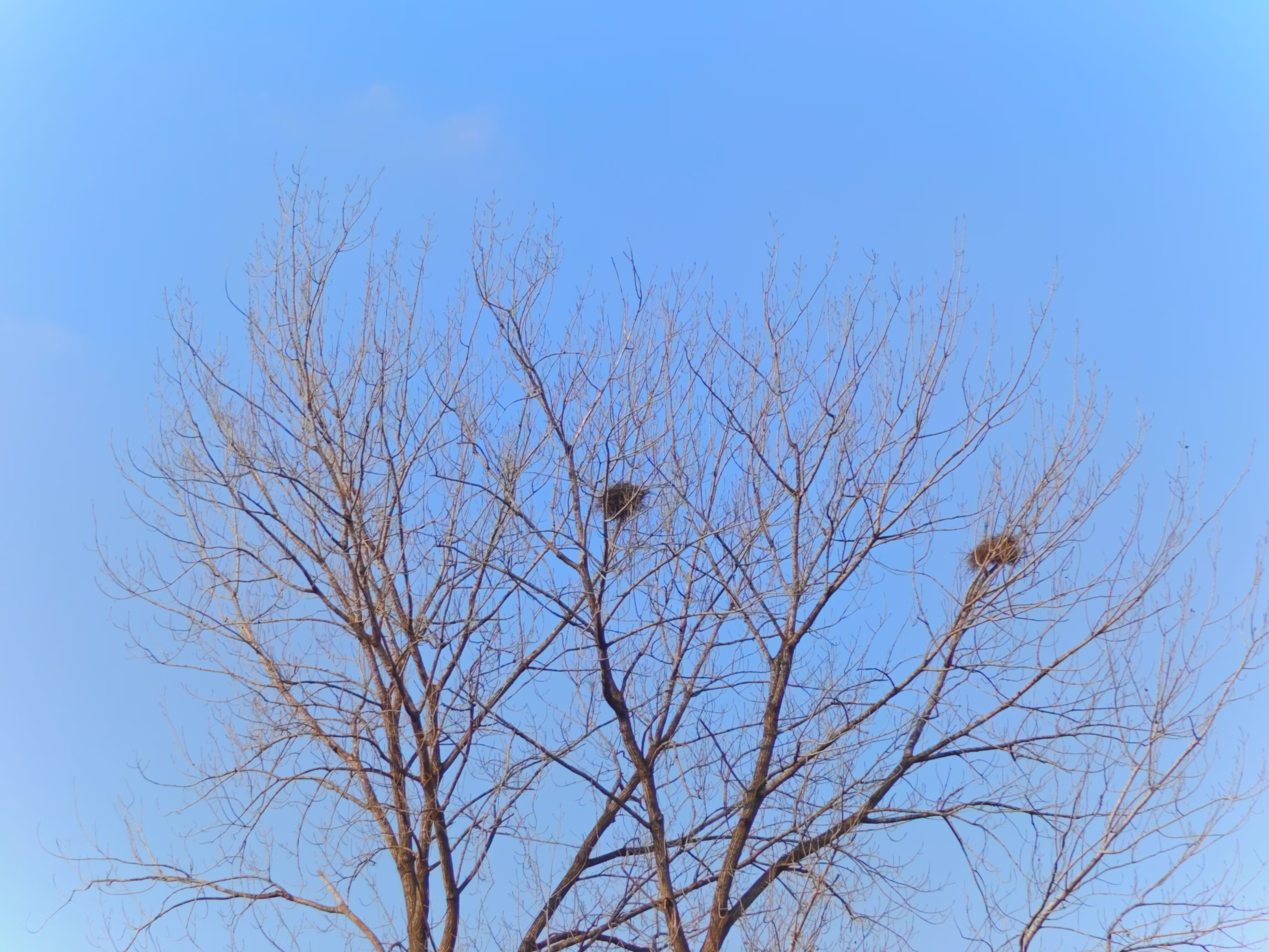 校园风光